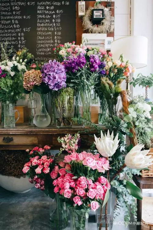 快速花藝課程畢業(yè)項目 苗木的商業(yè)化回歸