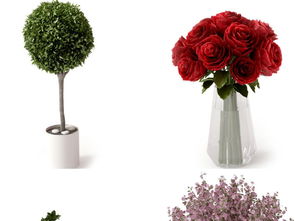 現代綠植盆栽精品陶罐花卉景觀設計與資源下載指南