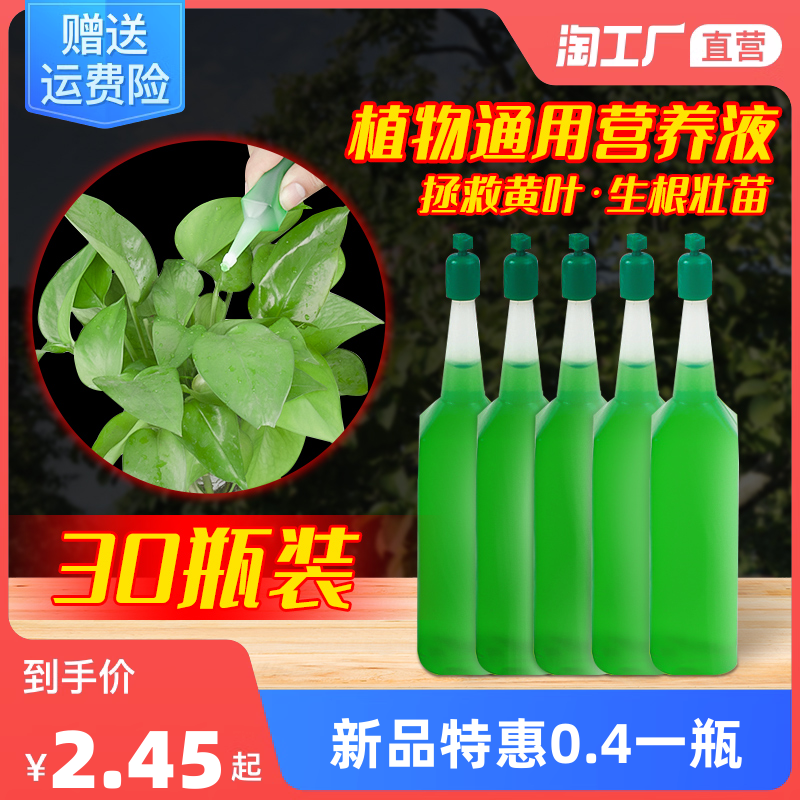 花卉網購熱潮 現代生活的新寵與消費趨勢解析