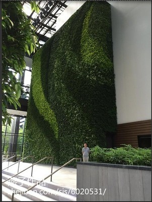 仿真植物墻效果圖 苗木設計美學與空間應用