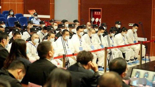 地下執(zhí)法隊(duì) 栽了 最高獲刑20年